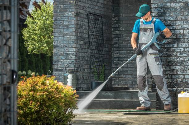 Pre-Holiday Cleaning in Concord, MI