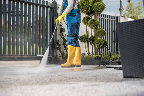 Best Animal Enclosure Cleaning  in Concord, MI