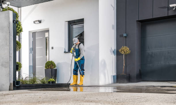 Best Solar Panel Cleaning  in Concord, MI